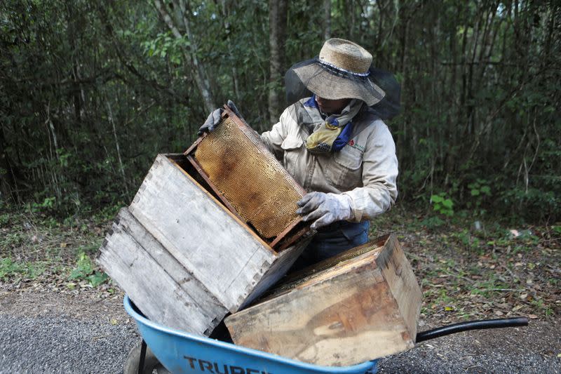 The Wider Image: Collapse, contamination: Mexican scientists sound alarm at Mayan Train