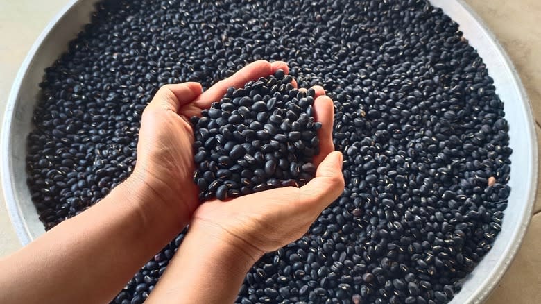 hands holding black beans