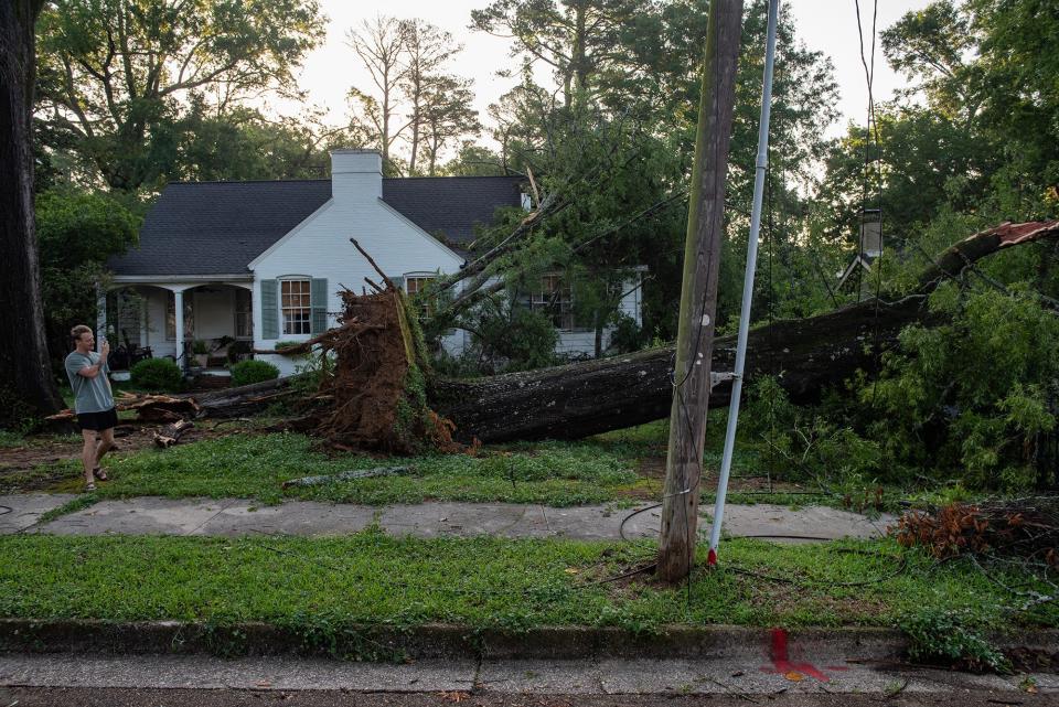 Zachary Mackenzie, 28, surveys the tree that landed in front of his house, smashing his mother-in-law's car, on Linden Place in the Belhaven neighborhood of Jackson on Friday. "I don't know if I'd be here talking to you if [the tree] moved to the left," Mackenzie said. He said he was in the living room with his wife, 3-week-old baby and mother-in-law when the tree fell, clipping the front of the house but causing no serious damage to it.