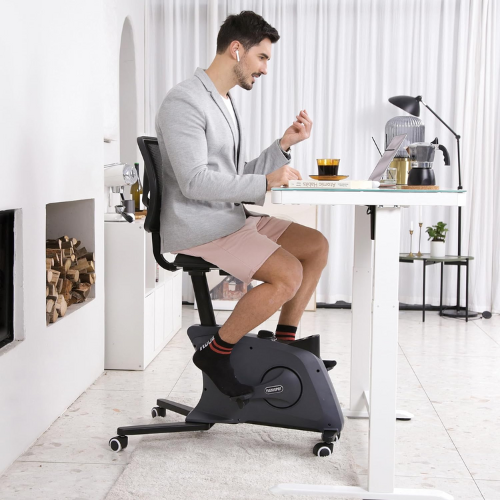 FlexiSpot Adjustable Exercise Bike