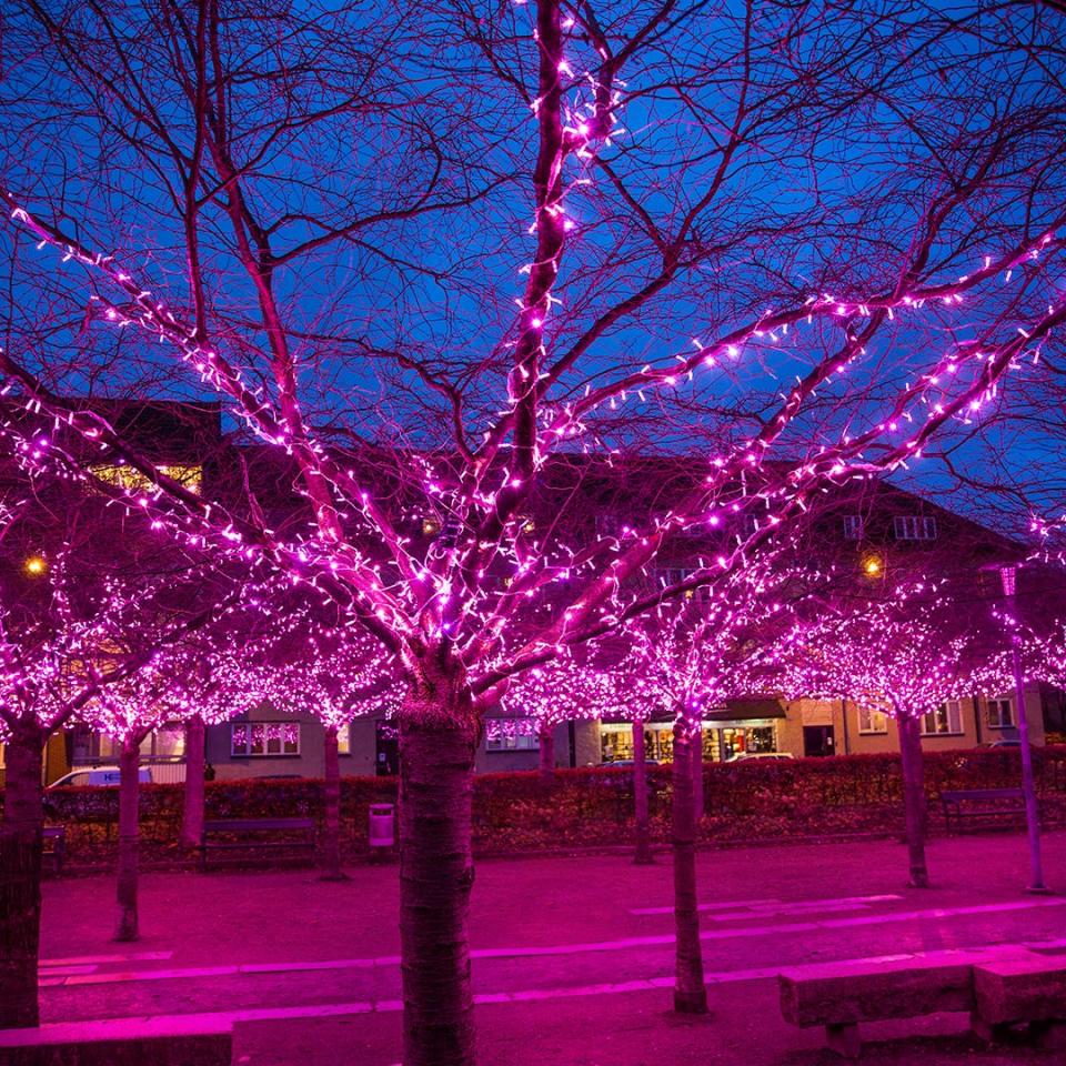 Lumagica is a new holiday light show that will take place in the orchards at Harvest Moon Farm & Orchards in North Salem.