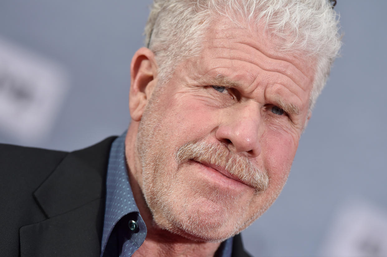 HOLLYWOOD, CALIFORNIA - APRIL 11: Ron Perlman attends the 2019 TCM Classic Film Festival Opening Night Gala and 30th Anniversary Screening of 'When Harry Met Sally' at TCL Chinese Theatre on April 11, 2019 in Hollywood, California. (Photo by Axelle/Bauer-Griffin/FilmMagic)