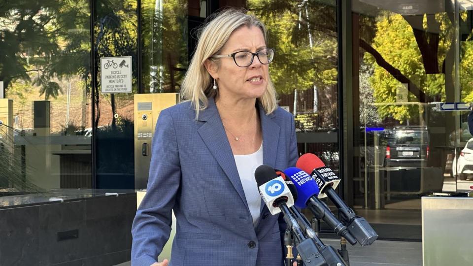 WA Liberal leader Libby Mettam said there a ‘number of red flags’ about the boy’s behaviour. Picture: NCA NewsWire / Emma Kirk