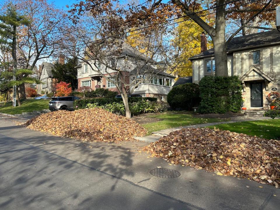 Until this fall, residents in some of the city's leafier neighborhoods could simply pile their leaves near the side of the road, instead of bagging them, for city pick up.