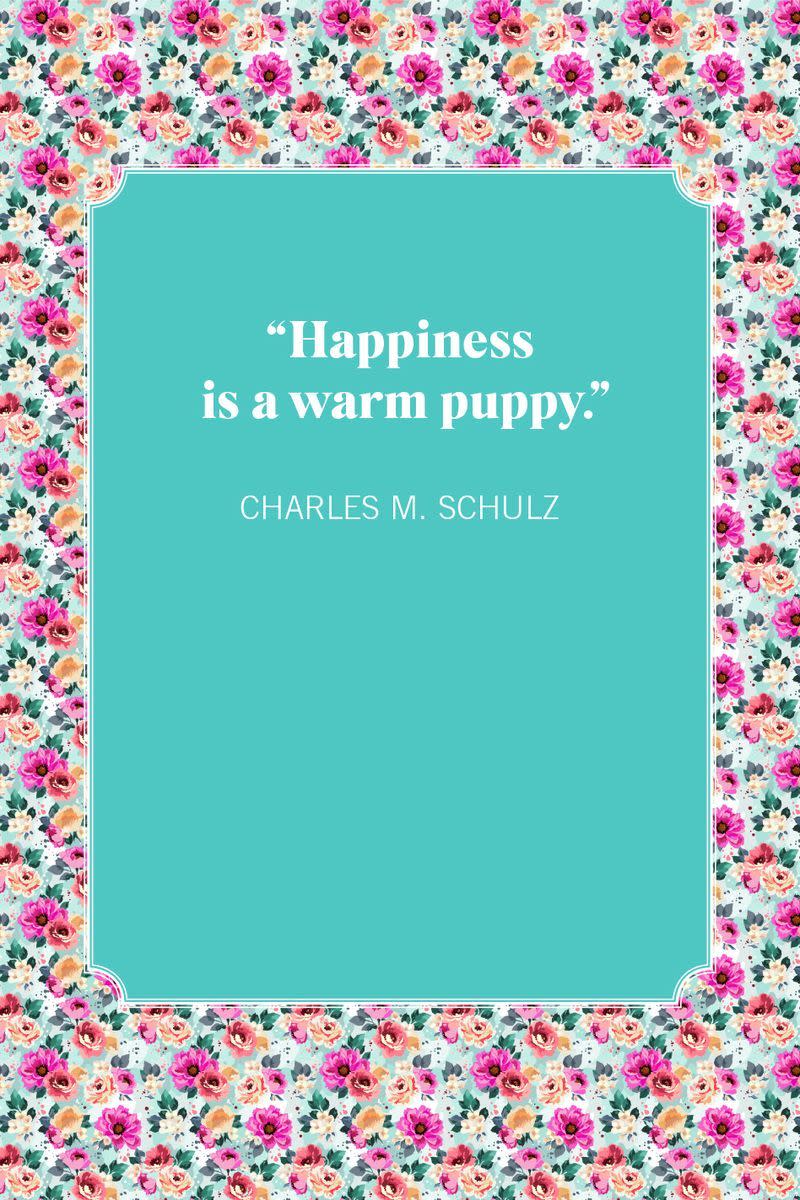 dog mom quotes charles m schulz