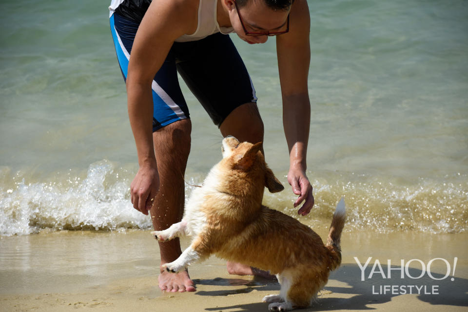 Corgi Gathering at Tanjong Beach