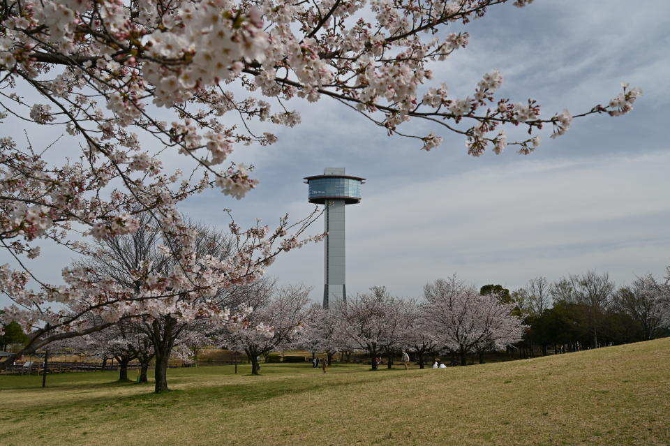 東京近郊琦玉縣景點推介Top8！打卡世界之最稻田藝術、地深50米防災地下神殿再食得獎烏冬＋咖喱