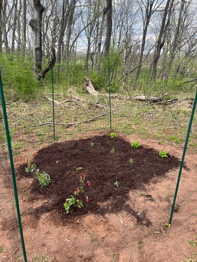 In the “before” photo, the area holds nothing but dirt and a few scattered clumps of grass and weeds.