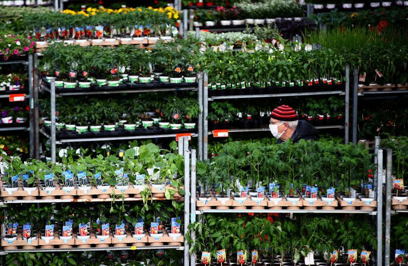 A man shops plants outside a hardware store during the partial reopening of shops after the Austrian government loosens its lockdown restrictions during the global coronavirus disease (COVID-19) outbreak in Vienna