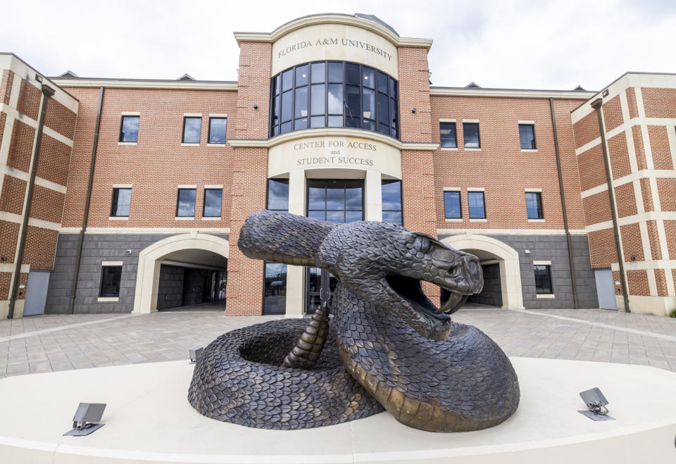 A large mascot of a rattlesnake is on display in front of the student success center at the Florida A&M University campus in Tallahassee, Fla., Thursday, June 6, 2024. $237 million donation to FAMU was promised by Gregory Gerami, a 30-year-old who called himself Texas’ “youngest African American industrial hemp producer,” but everything was not what it seemed and the donation is now in limbo. Gerami maintains that everything will work out, but FAMU is not the only small university that has engaged with his major donation proposals only to see them go nowhere. (AP Photo/Mark Wallheiser)