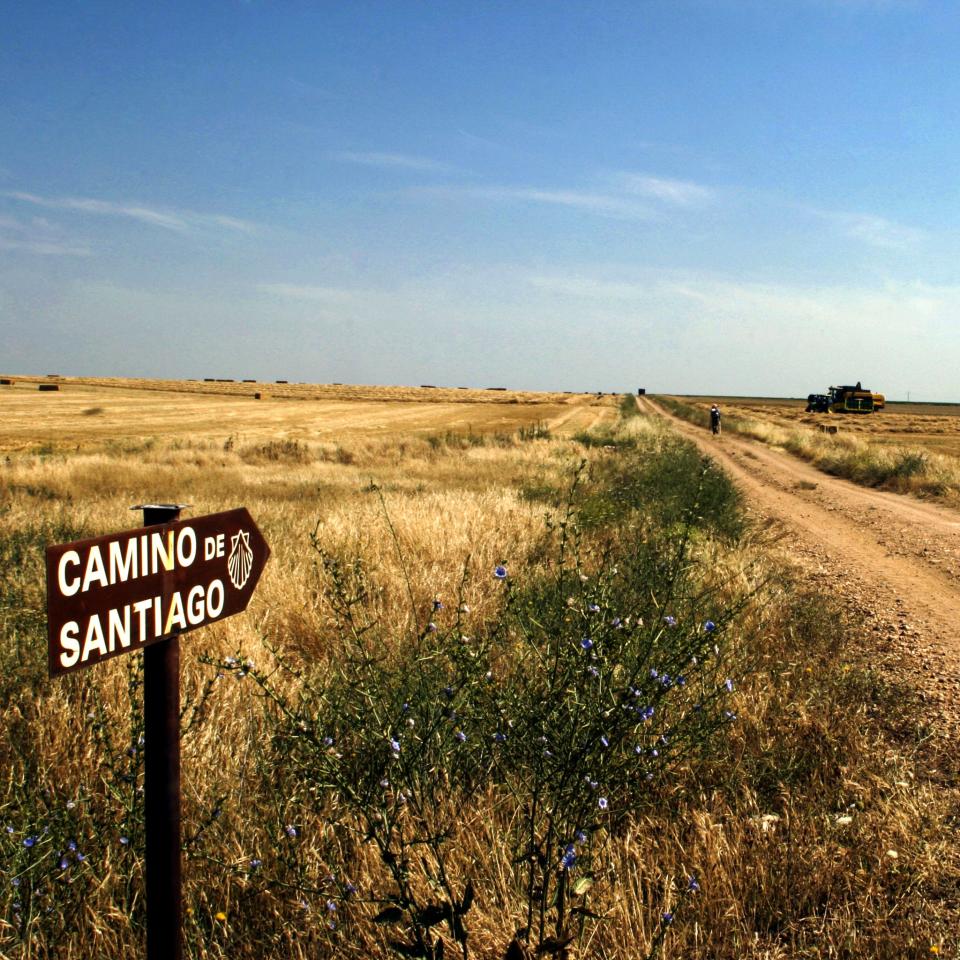 Sign pointing to the trail on the Camino de Santiago