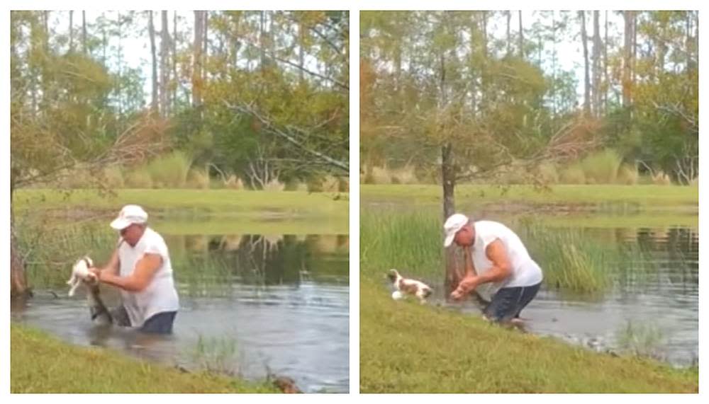 After forcing open the alligator's jaws, Richard Wilbanks managed to free his puppy. — Screengrab via Youtube/WPTVNews