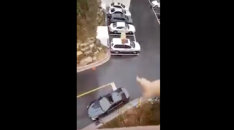 After husband forgets lunch, wife throws it from the BALCONY and INTO his car