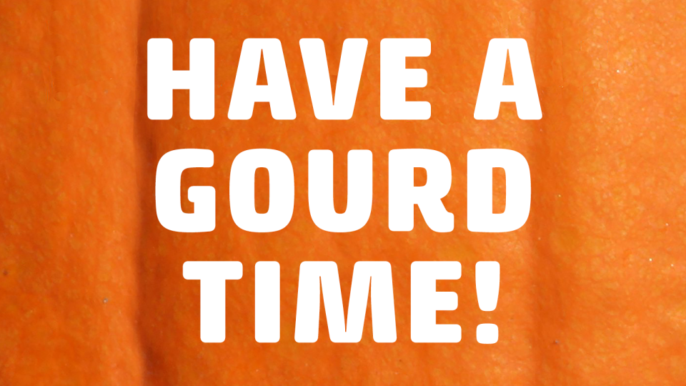 pumpkin puns have a gourd time