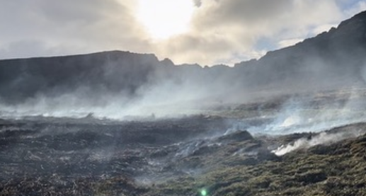 A forest fire, caused by the nearby Rano Raraku volcano, charred some of Easter Island's towering iconic carved stone figures, Chilean officials reported.