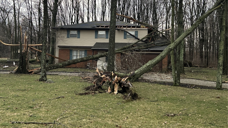 Trees are uprooted and fall on houses in Blacklick, Ohio on Belangee Road after a strong storm surge early morning on February 28, 2024. (NBC4 Photo/Delaney Ruth)
