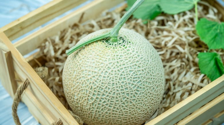 Crown melon in crate