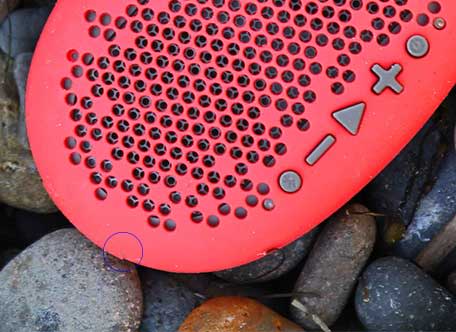 Red Urchin cover