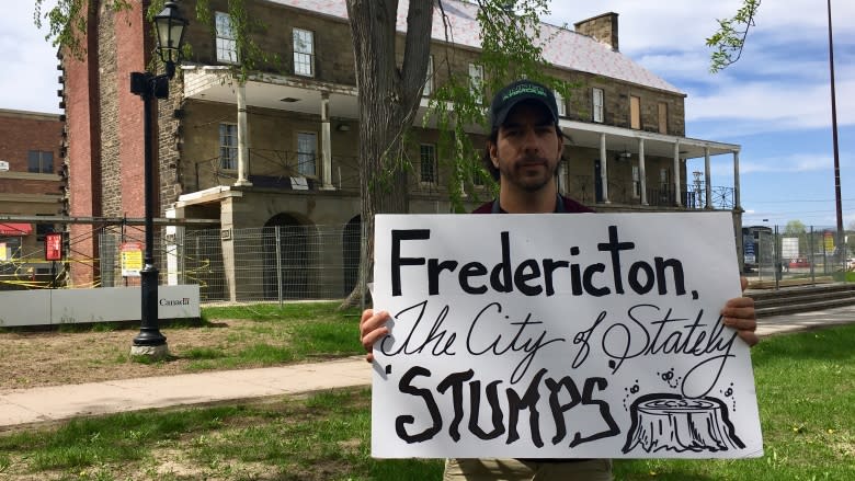 Fredericton residents rally to protect downtown trees from destruction