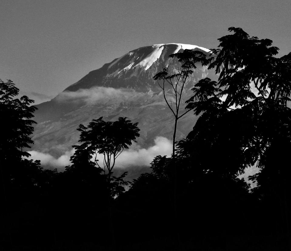 Mt. Kilimanjaro as seen from the KCMC campus where I worked in Tanzania. / Credit: From "A Tattoo On My Brain."