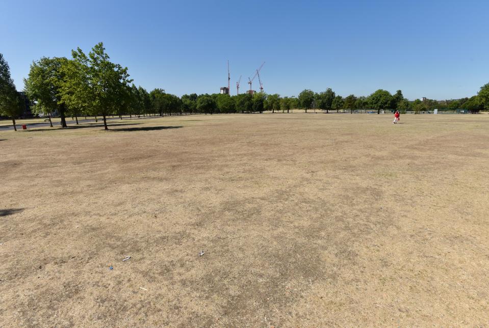 The UK heatwave is drying up rivers and leaving parklands parched (Rex features)