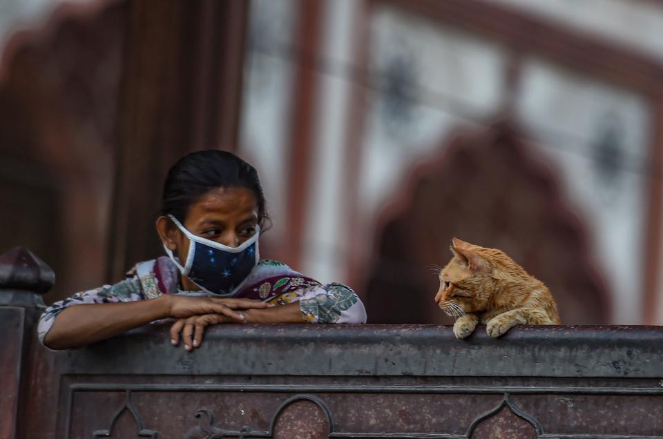 New Delhi: A woman and a cat at Jama Masjid in Delhi on the eve of the beginning of Ramzan on Tuesday, 13 April.