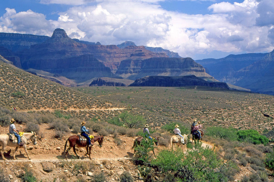 Bright Angel Trail, Grand Canyon National park. (Reda & Co / Getty Images)