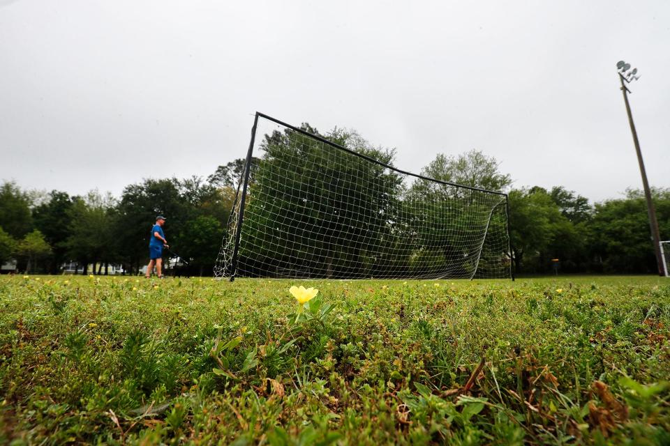 Weeds and flowers grow on the athletic field at Jaycee Park on Tybee Island. The City of Tybee is proposing to replace the fields with artificial turf.