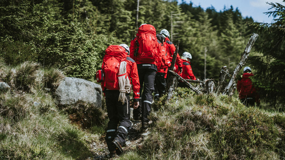 A mountain rescue team, seen from the back, walking along a wooded path.