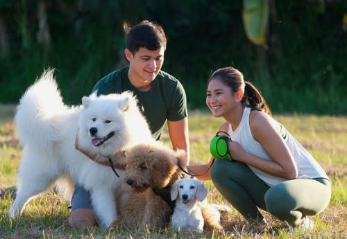 The celebrity couple have been married for over a year, with their furkids here