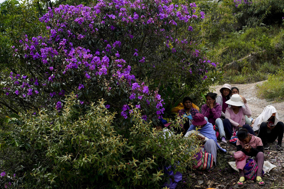 Farmers from Bolivia's Yungas region take a break from harvesting coca leaves on the outskirts of Trinidad Pampa, a coca-producing area, Saturday, April 13, 2024. Across Bolivia, the leaf sustains 70,000 coca-growers and generates some $279 million each year as the farmers sell the foliage in bulk. (AP Photo/Juan Karita)