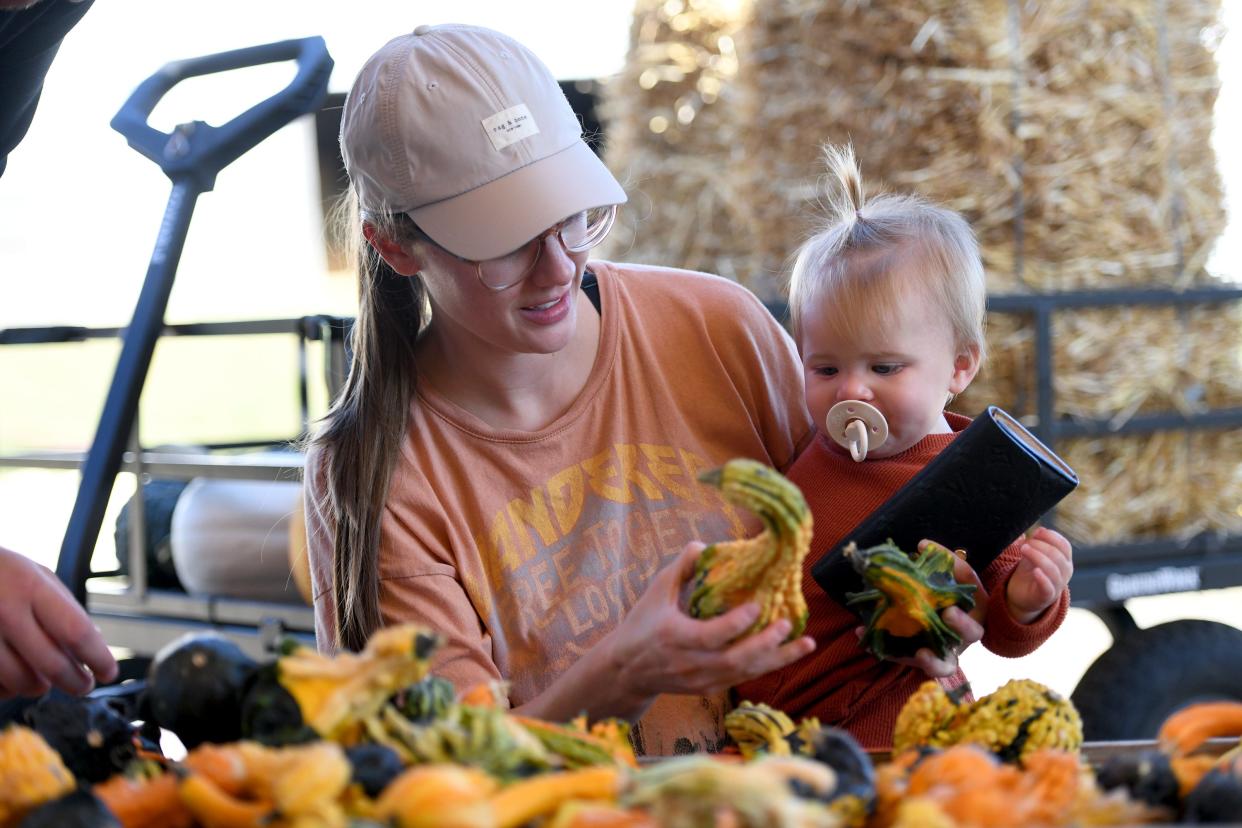 Graysan Miller of North Canton gets help from daughter, Waverly, 10 months, while picking gourds for fall decorating at Kline's Farm at 9520 Cleveland Ave. in North Canton.