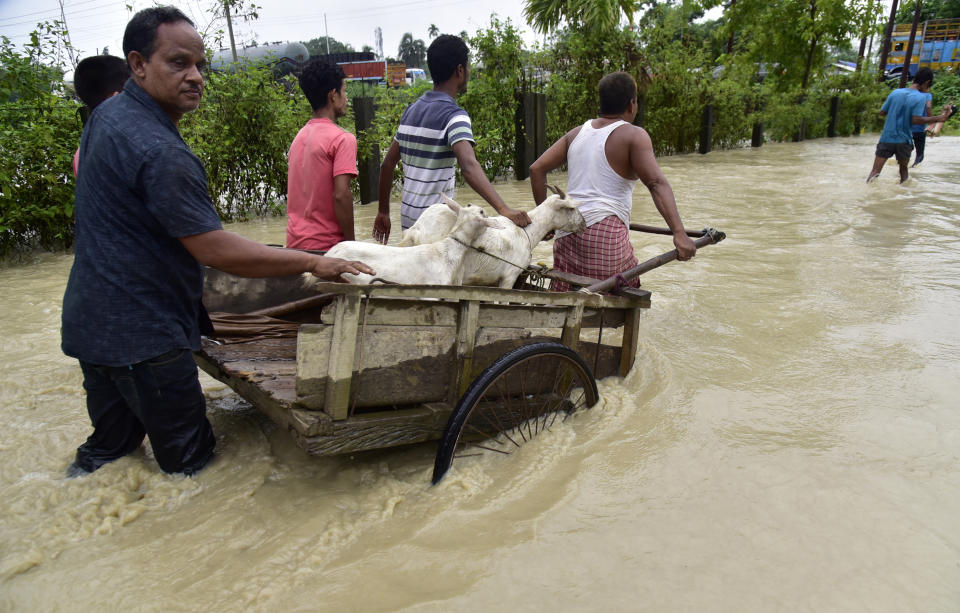 Flood-affected people transport cattle in Nalbari district in the northeastern Indian state of Assam, Wednesday, June 21, 2023. Tens of thousands of people have moved to relief camps with one person swept to death by flood waters caused by heavy monsoon rains battering swathes of villages in India’s remote northeast this week, a government relief agency said on Friday. (AP Photo)
