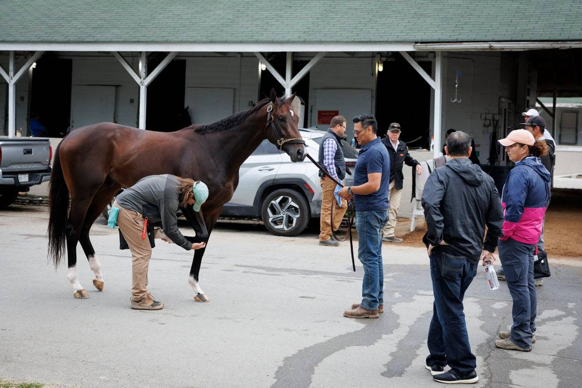 Kentucky Derby favorite Forte scratches after being examined by Kentucky Chief Veterinarian Nick Smith, right after a bruise on the colt’s right foot was discovered earlier in the week, Saturday, May 06, 2023 at the Churchill Downs in Louisville. Jonathan Palmer/photo@jonathanpalmer.net