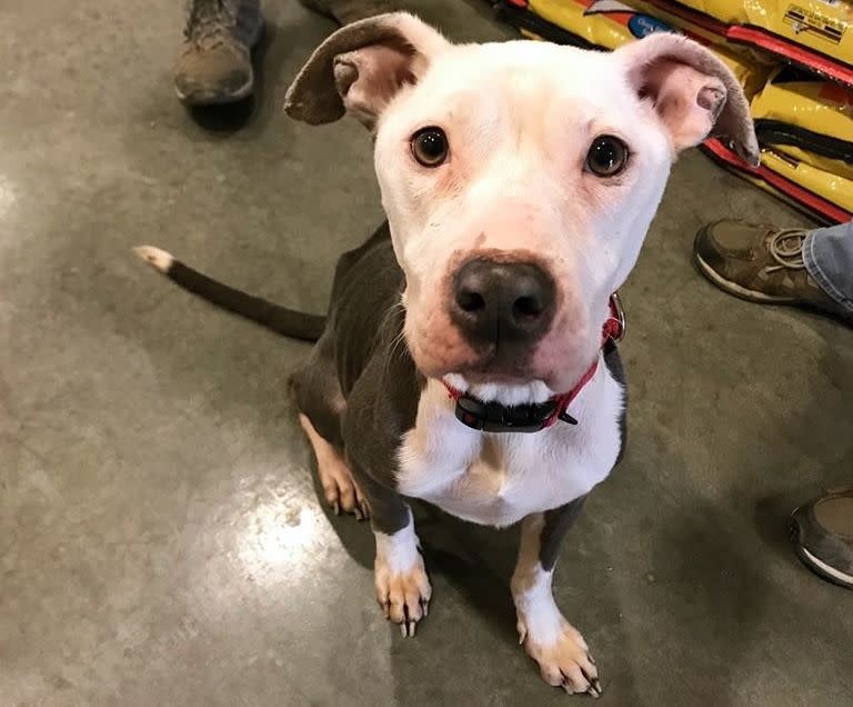 Good luck, Sky! (Photo: Stephanie Gomez/Delaware Humane Association)