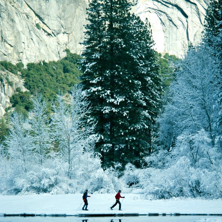 nordic skiing