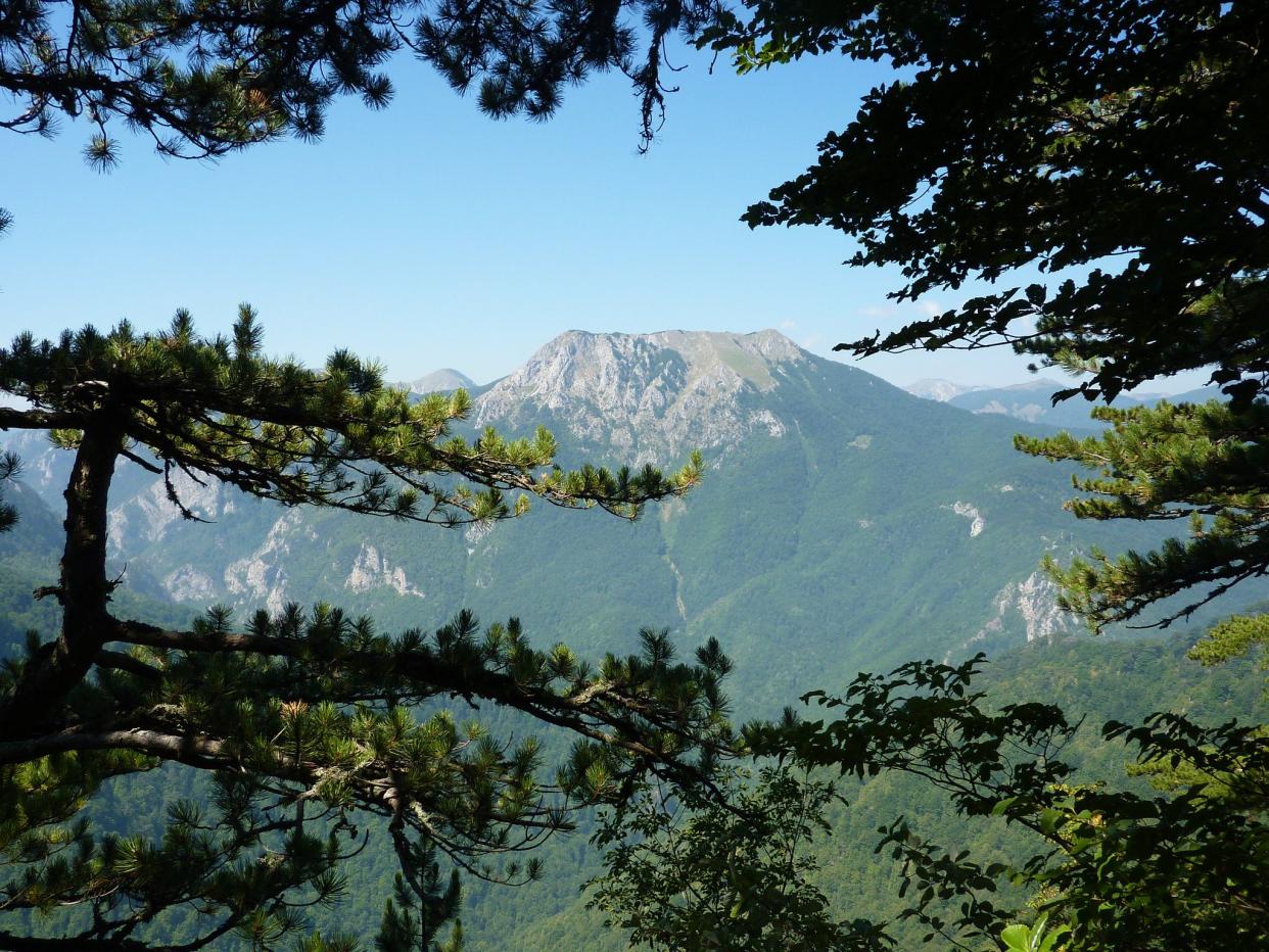 Perućica primeval forest