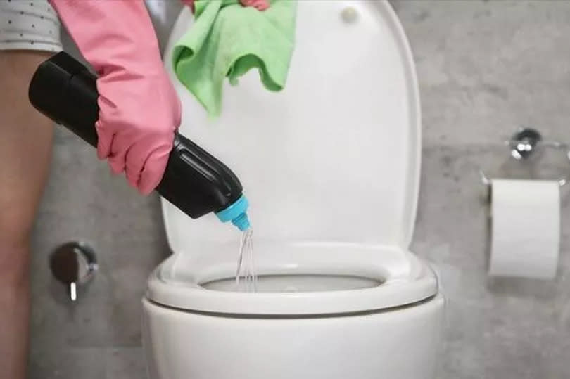 A homeowner cleaning a toilet bowl with bleach