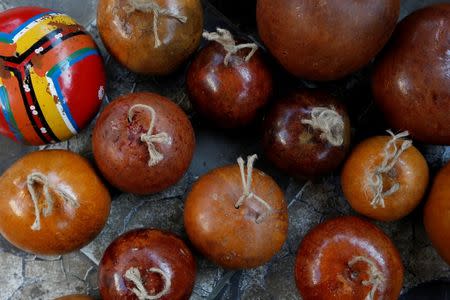 Cabacas to be used with the musical instrument berimbau are seen in the Rocinha favela in Rio de Janeiro, Brazil, July 24, 2016. REUTERS/Bruno Kelly