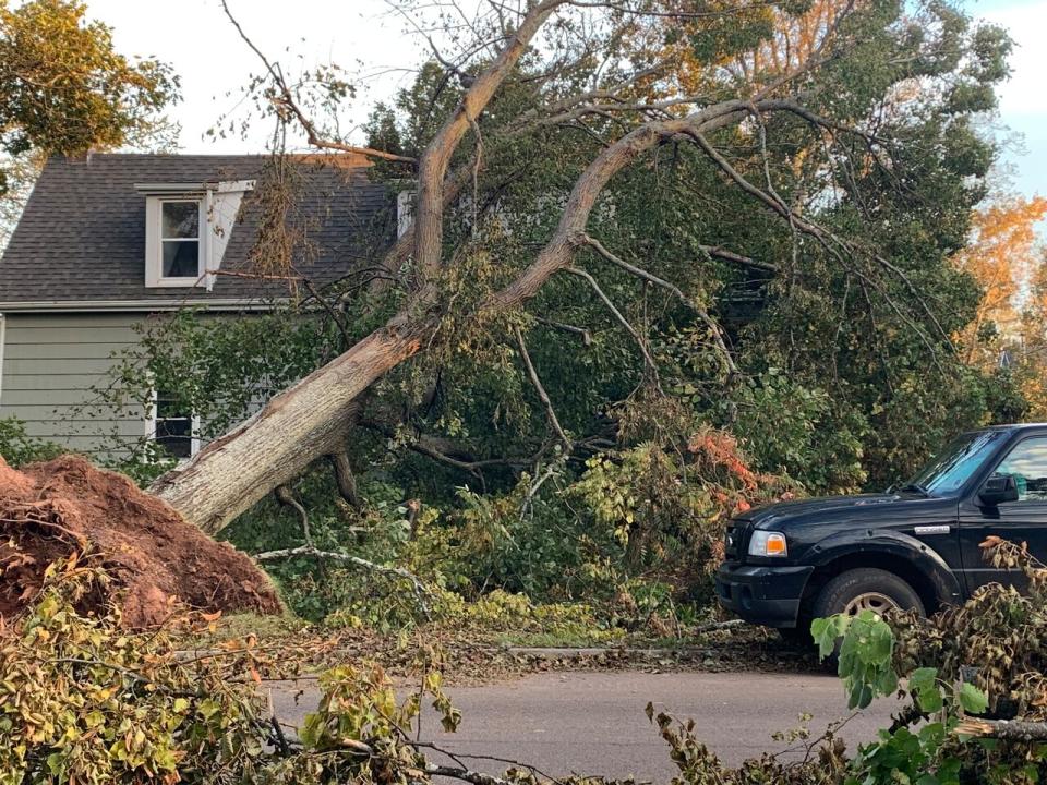 Numerous trees were downed and power lost when Fiona hit PEI. 