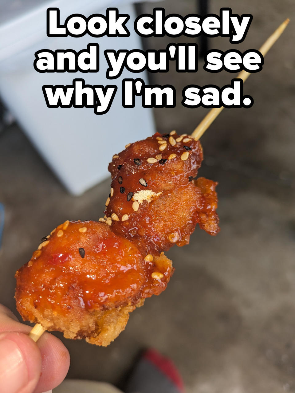 "Look closely and you'll see why I'm sad": Close-up of a chicken nugget on a skewer with sesame seeds and little insects