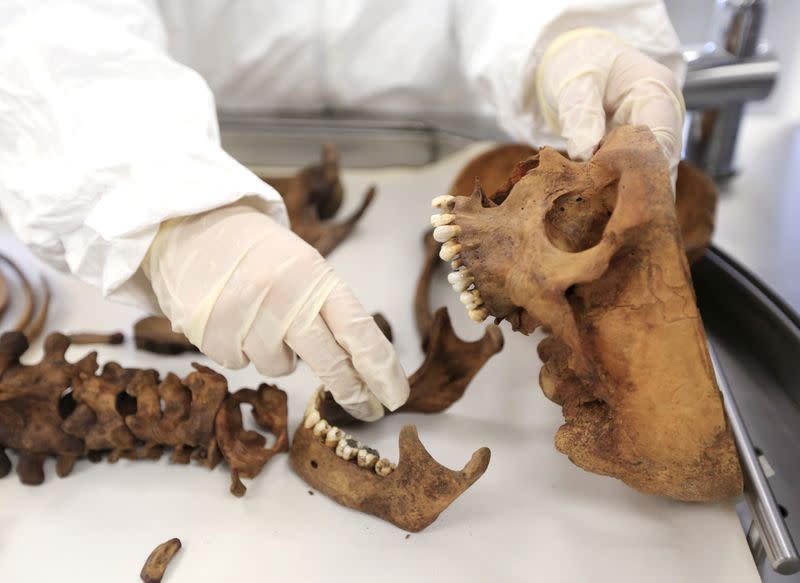 FILE PHOTO: A forensic doctor examines the bones of an unidentified victim which is analyzed in the lab of the Attorney-General's office in Bogota