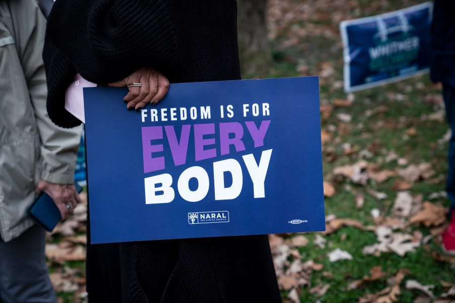 Signs in favor of Michigan’s Proposal 3, which guarantees reproductive freedom, at a rally for Michigan Governor Gretchen Whitmer and other Democrats at Washington Park on Nov. 5, 2022, in Lansing, Michigan. (Photo by Sarah Rice/Getty Images)