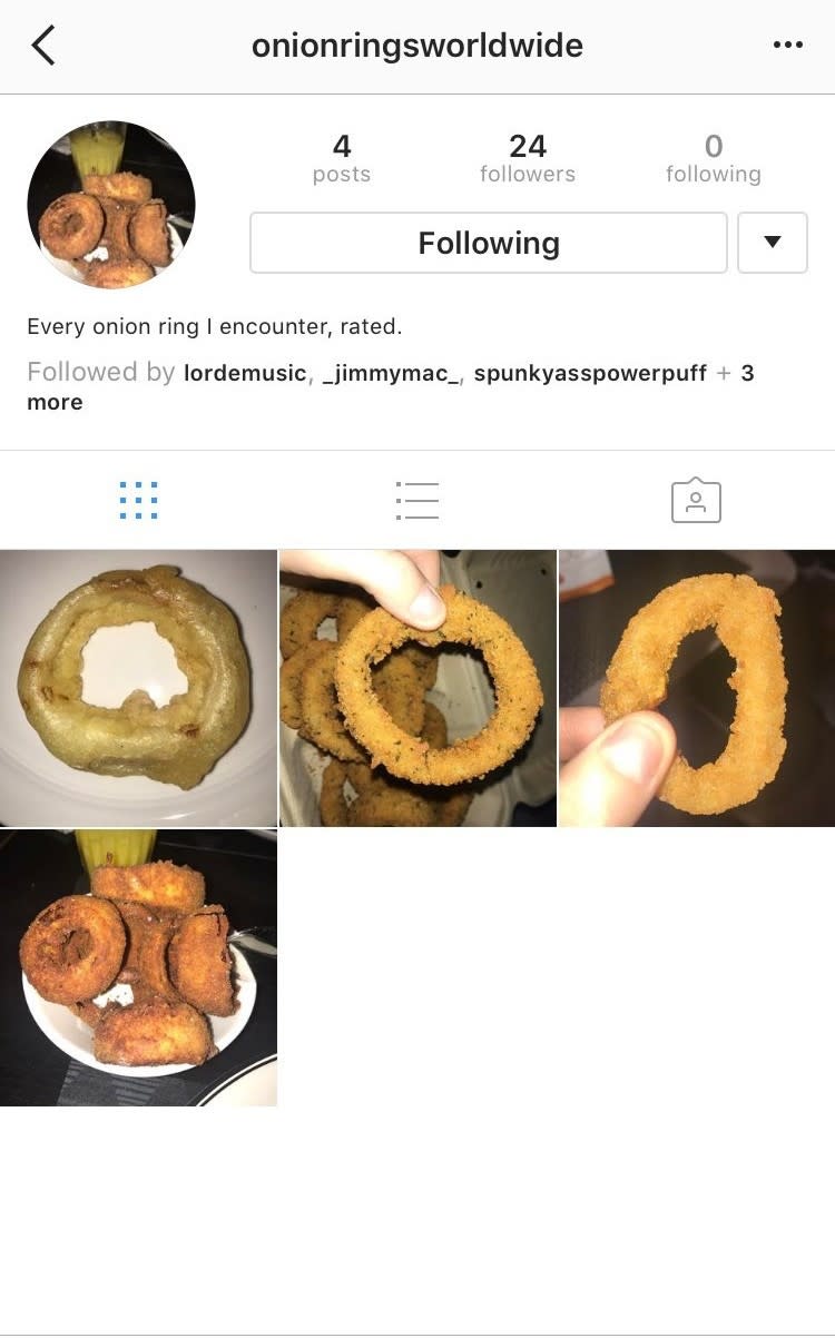 Lorde's secret onion ring Instagram account