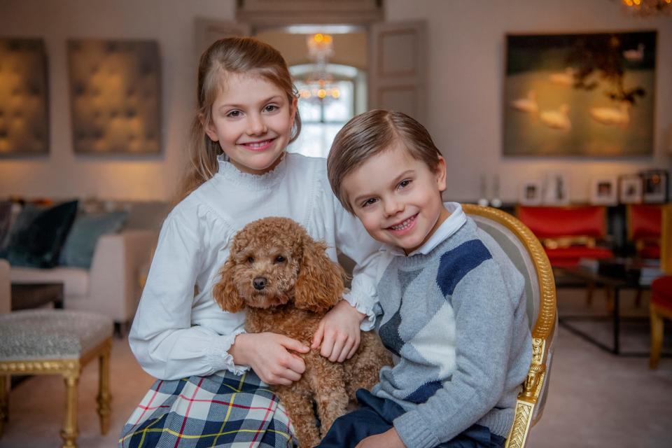 <p>Princess Victoria and Prince Daniel's children have an adorable bond, whether they're playing with their family dog Rio or helping their mom with <a href="https://people.com/royals/swedish-royals-beekeeping-princess-victoria-princess-estelle-prince-oscar/" rel="nofollow noopener" target="_blank" data-ylk="slk:beekeeping;elm:context_link;itc:0;sec:content-canvas" class="link ">beekeeping</a>.</p>