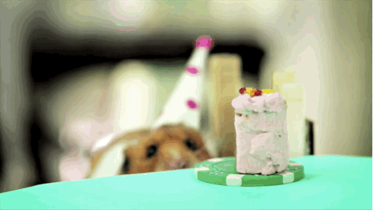 Birthday Message | Birthday Cake | Best Birthday Wishes