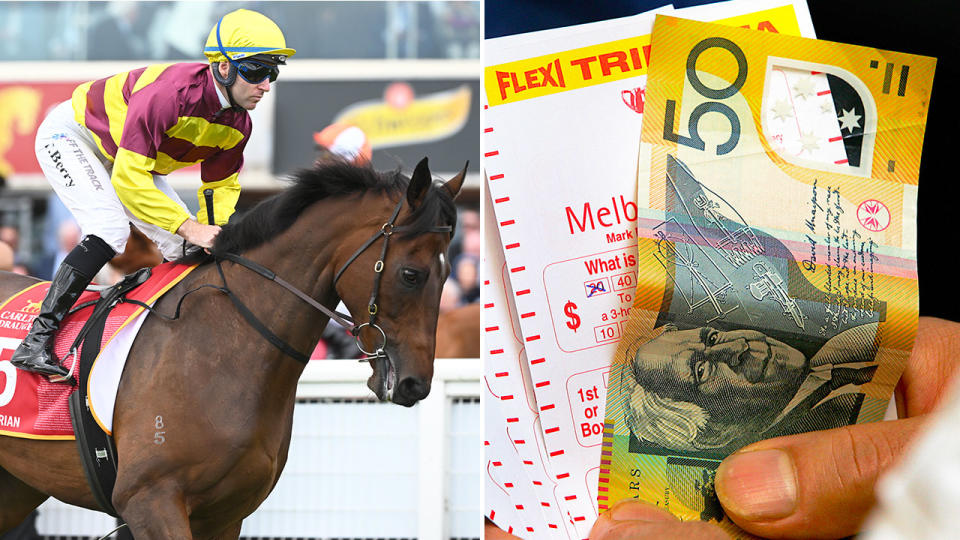 A Sydney betting syndicate is set to pocket $1.8 million if Numerian wins the Melbourne Cup. Pic: Getty