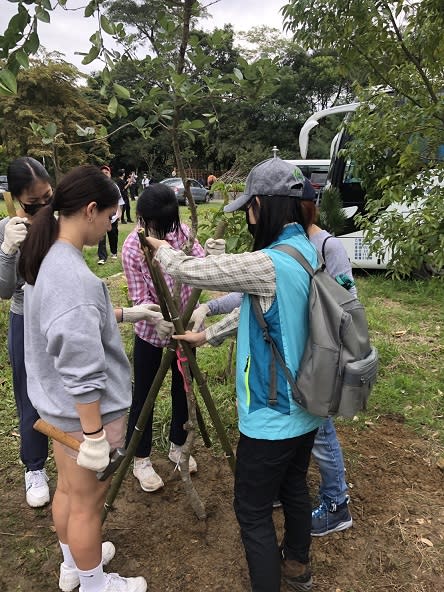 支持泰雅青年「一樹一山」　種植臺灣原生流蘇理念