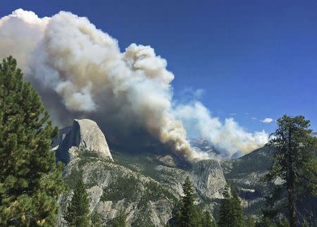 The Meadow Fire burns in Yosemite National Park, California in this handout photo released to Reuters September 8, 2014. REUTERS/Jeffrey Trust/National Park Service/Handout