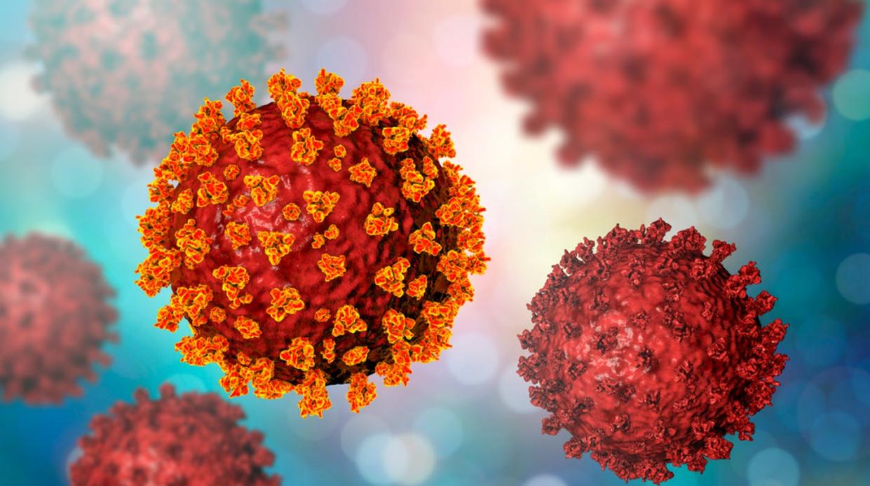   <span class="attribution"><a class="link " href="https://www.shutterstock.com/image-illustration/sarscov2-coronavirus-virus-which-causes-covid19-1688912314" rel="nofollow noopener" target="_blank" data-ylk="slk:Shutterstock;elm:context_link;itc:0;sec:content-canvas">Shutterstock</a></span>